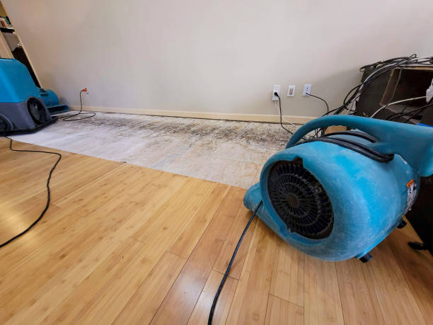 Professional Sewage Cleanup technician working in Chapmansboro, TN
